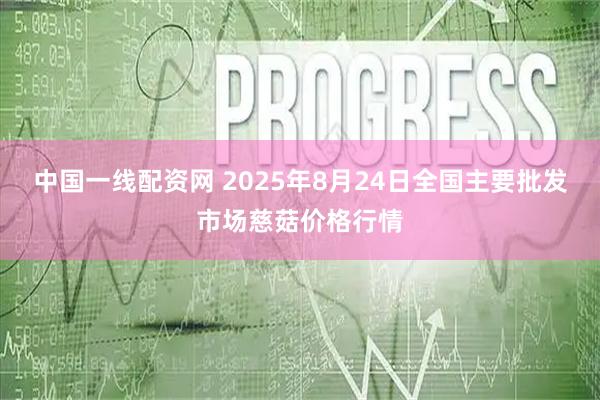 中国一线配资网 2025年8月24日全国主要批发市场慈菇价格行情