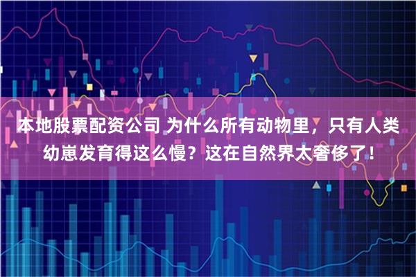 本地股票配资公司 为什么所有动物里，只有人类幼崽发育得这么慢？这在自然界太奢侈了！