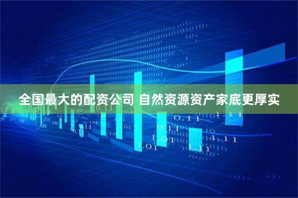 全国最大的配资公司 自然资源资产家底更厚实